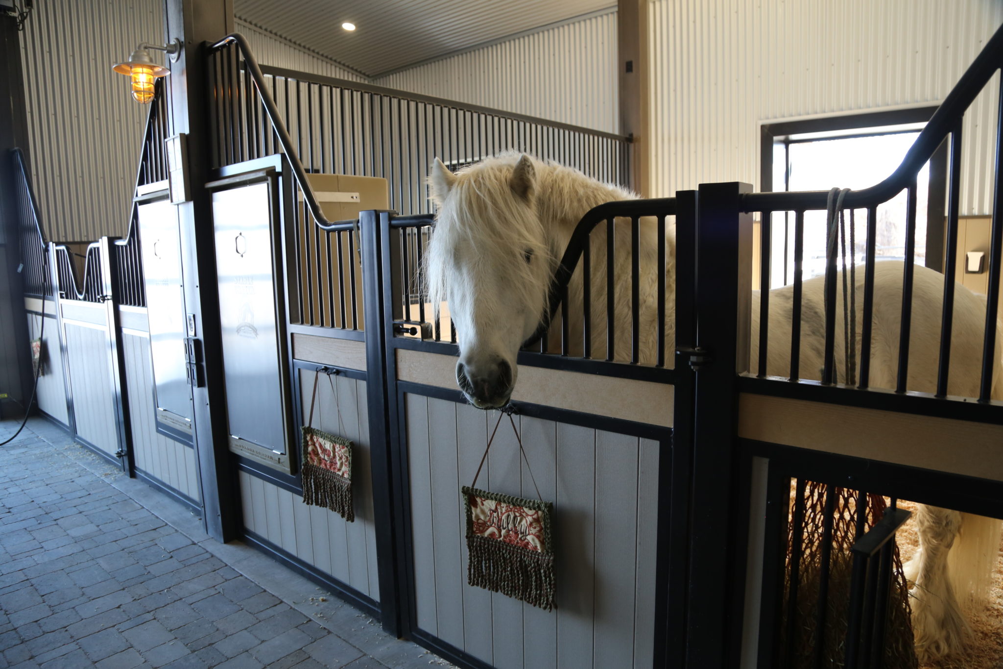 Reasons To Use Plastic Lumber for Your Horse’s Enclosure