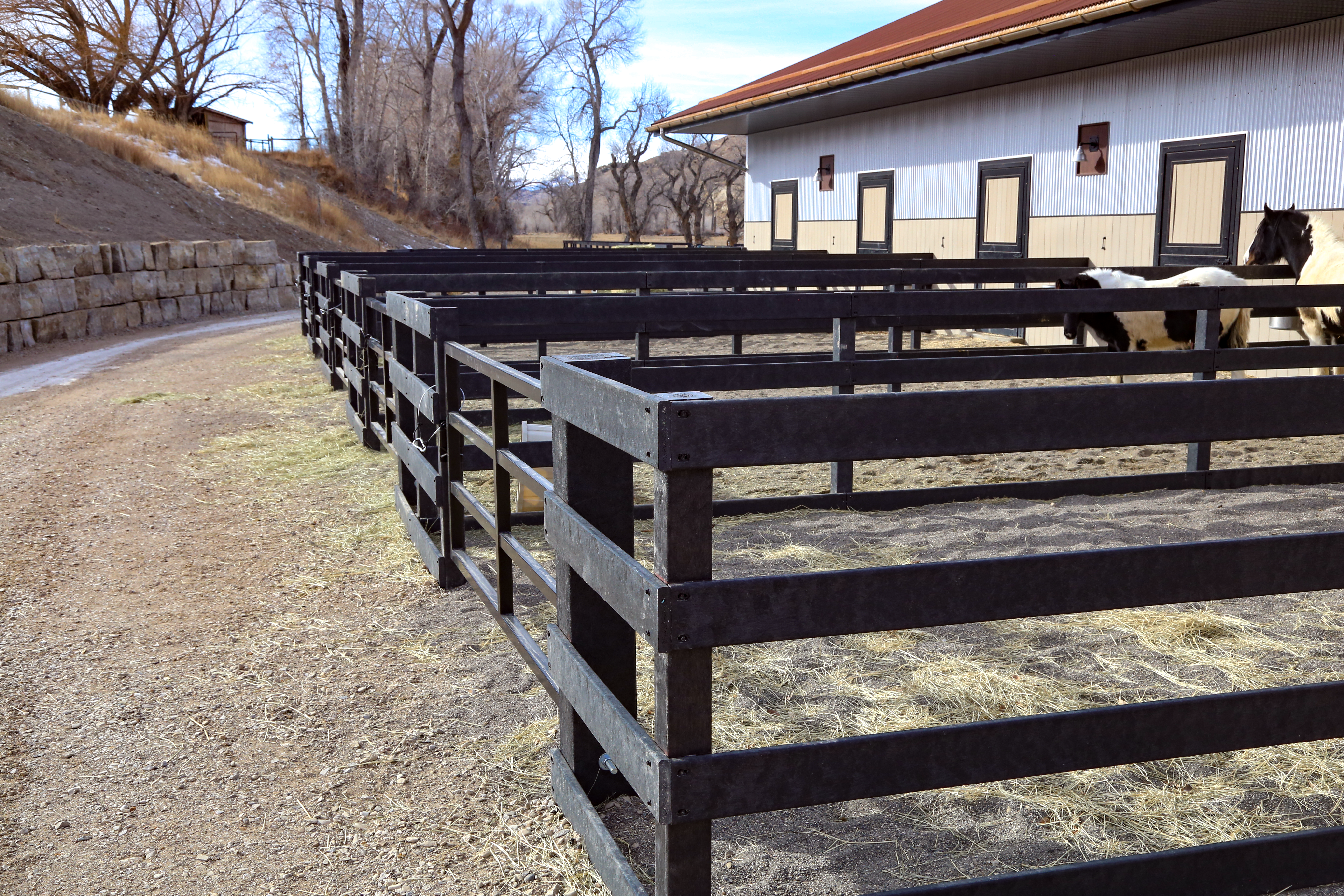 HDPE fencing for horses
