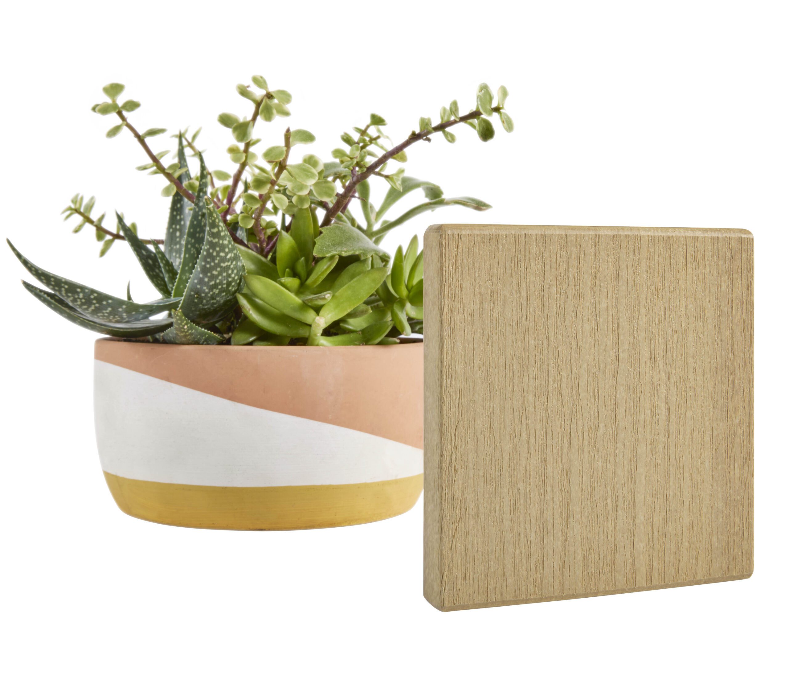 Tangent_Nature_Beauty