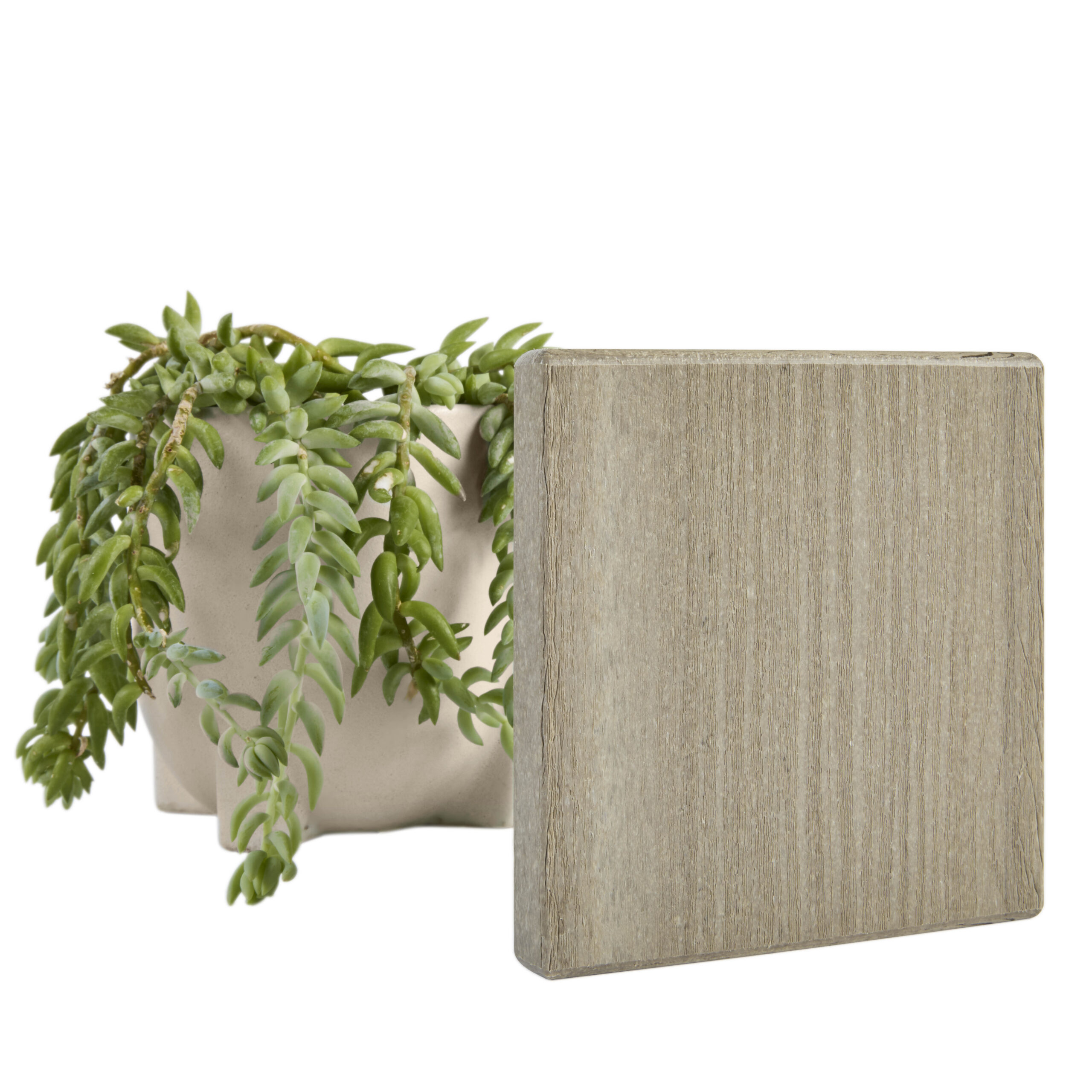 Tangent_WeatheredTeak_Beauty