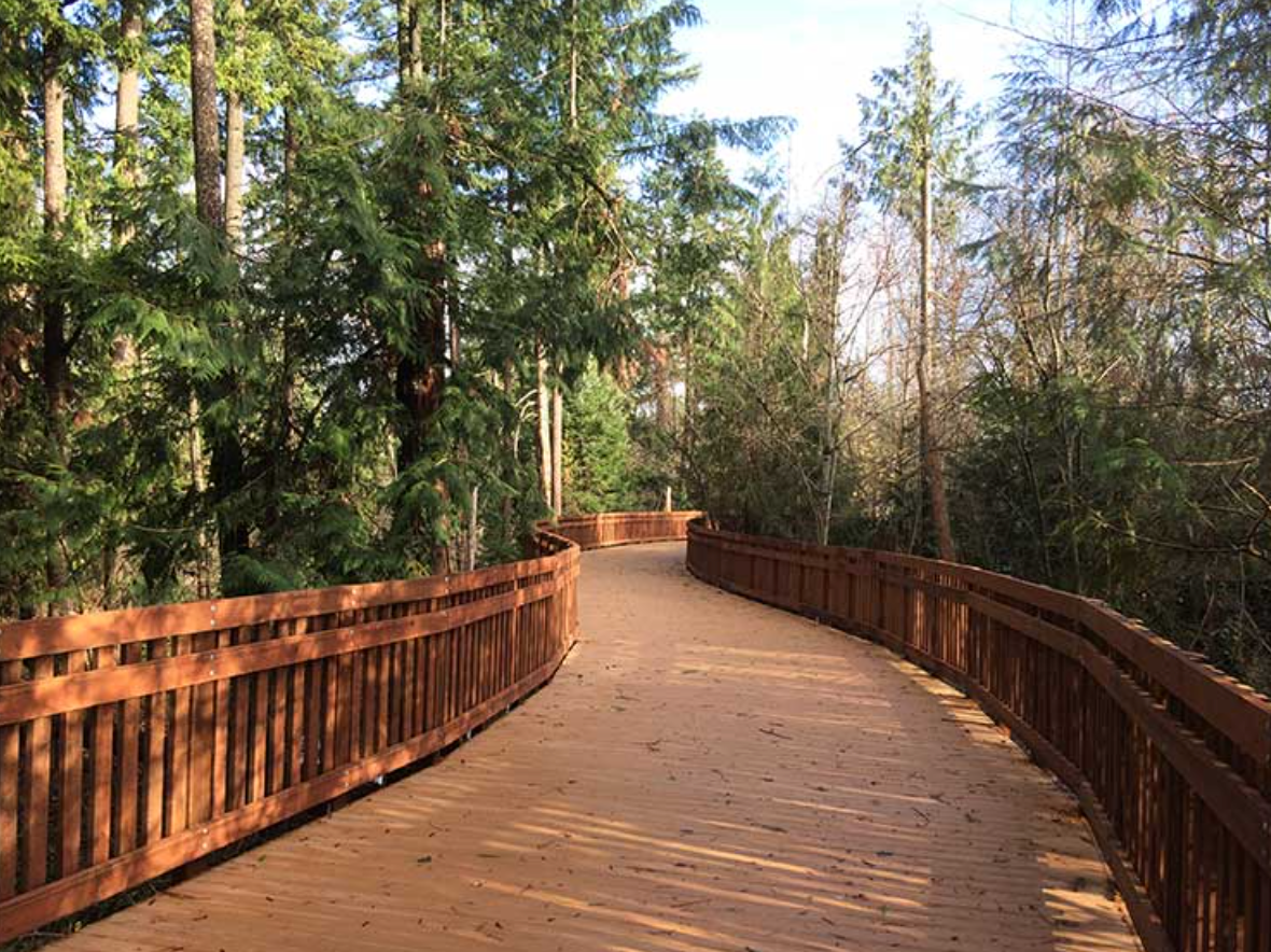 A boardwalk through a forest environment, built with HDPE plastic lumber.